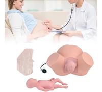Dystocia Labor & Delivery Teaching Model with Adjustable Inflatable Bag to Adjust The Width of The Pelvis, for Obstetrics Gynecology Training Teaching