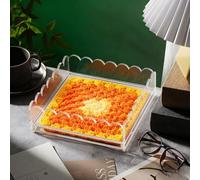DystopiaWorld Elegant 9X9 Acrylic Tray, With Latent Drawer, For Photos & Art Display