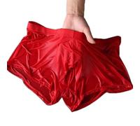 DystopiaWorld Stylish Men's Transparent Boxer Briefs Underwear for Everyday Seduction (XXL Red)