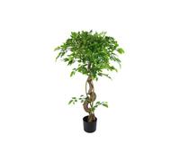Dyzi 120Cm Twisted Ficus Tree In Weighted Pot