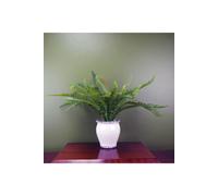 Dyzi 40Cm Artificial Bushy Fern In Decorative Ceramic Vase