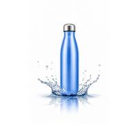 Dyzi 500ml Stainless Steel Water Bottle Leak Proof BPA Free Blue Dyzi Blue 500ml