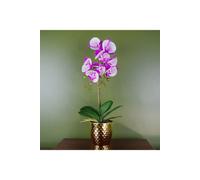 Dyzi 50Cm Real Touch Artificial Orchid In Golden Honeycomb Pot