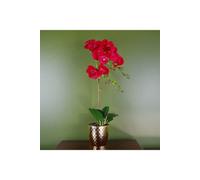 Dyzi 50Cm Real Touch Artificial Orchid In Golden Honeycomb Pot