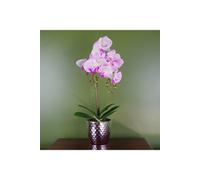 Dyzi 50Cm Real Touch Artificial Orchid In Silver Honeycomb Pot