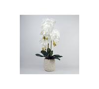 Dyzi 60Cm Pure White Artificial Orchid With Ceramic Planter