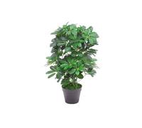 Dyzi Artificial Arboricola Plant 55Cm Potted Indoor Decor Green