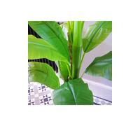 Dyzi Artificial Banana Tree 180Cm Large Tropical Indoor Décor