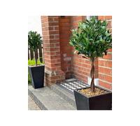 Dyzi Artificial Bay Tree Pair 120Cm Potted Entrance Décor
