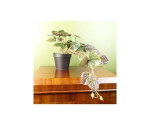 Dyzi Artificial Cascading Plant In Black Pot 35Cm