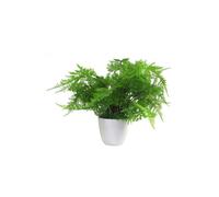 Dyzi Artificial Lady Fern Plant In White Pot 30Cm