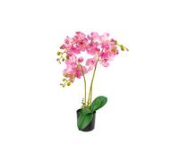 Dyzi Artificial Phalaenopsis Orchid In Pot 60Cm