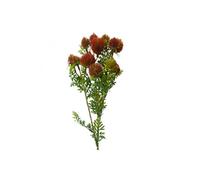 Dyzi Artificial Red Craspedia Flower Stem 55Cm