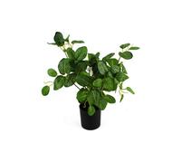 Dyzi Artificial Variegated Pothos Plant In Black Pot 40Cm