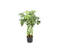 Dyzi Green 70Cm Leaf Artificial Arboricola Evergreen Plant