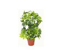 Dyzi Green 75Cm Gold Capella Umbrella Artificial Plant