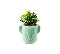 Dyzi Green Blue Ceramic Elephant Planter With Artificial Foliage Plant