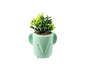 Dyzi Green Blue Ceramic Elephant Planter With Artificial Foliage Plant
