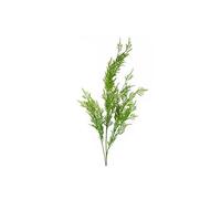 Dyzi Green Pack Of 6 Artificial Boston Fern Tall Stems
