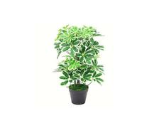 Dyzi Leaf Artificial Arboricola Evergreen Plant 55Cm Small Plant