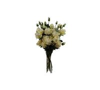 Dyzi Pack Of 6 Cream Rose Artificial Flower Spray Bundles
