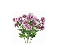 Dyzi Pack Of 6 Pink Artificial Carnation Stems