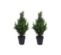 Dyzi Pair Of Uv Protected Artificial Cedar Trees 60Cm