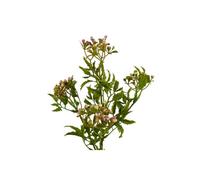 Dyzi Pink Artificial Berry Foliage Stem 55Cm