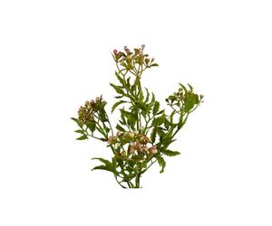 Dyzi Pink Artificial Berry Foliage Stem 55Cm