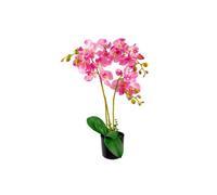 Dyzi Pink Artificial Phalaenopsis Orchid In Decorative Pot