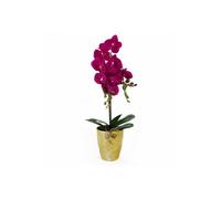 Dyzi Real Touch Artificial Orchid Plant In Decorative Pot