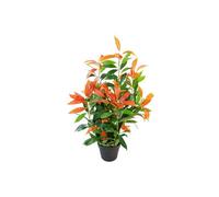 Dyzi Realistic Red & Green Ficus Plant With Moss Covered Pot