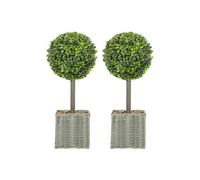 Dyzi Set Of 2 Artificial Boxwood Topiary Plants 50Cm