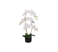 Dyzi White Artificial Phalaenopsis Orchid In Decorative Pot