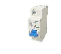 DZ47-125 1P Household Atmosphere Switch Short Circuit Protect Type Small-sized Mini Circuit Breaker 80/100/125A 1Pcs(125A)