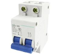 DZ47-63 35mm DIN Rail Mounting 2-Pole Circuit Breaker AC 230V 400V 10A 16A 32A 50A 63A(6A)