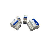 DZ47 House MCB with Indication/C Type Mini Circuit Breaker/1-4 Pole 6A/10A/16A/20A/32A/40A/50A/63A Household Air Switch(Black Without accessories,32A)