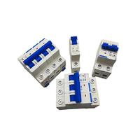 DZ47 House MCB with Indication/C Type Mini Circuit Breaker/1-4 Pole 6A/10A/16A/20A/32A/40A/50A/63A Household Air Switch(BEG29,50A)