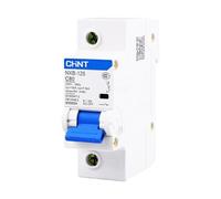 DZ47 NXB-125 Single-Phase 1P Circuit Breaker monolithic 100A Short Circuit Overload Protector air Switch(80A)