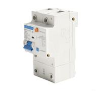 DZ47LE 32 1P+N Electrical Safety Switch for 30mA Leakage Detection in Home Decoration and Rural Projects (125A)
