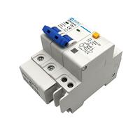 DZ47LE-63 Household Air Switch Miniature Circuit Breaker 2P Switch with Leakage Protector Three-Phase Main Gate Air switches (Color : 6a, Size : 2P)