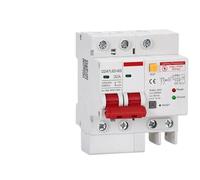 DZ47LED RCBO with SPD Lightning Protection Residual Current Circuit Breaker Earth Leakage 10A 16A 32A 40A 63A(32A)