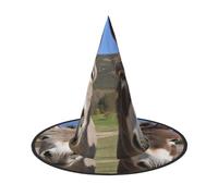 DZBDWZXH Funny Donkeys Print Halloween Witch Hat for Women Cosplay Costume Dress Up Halloween Party Decoration 1Pcs