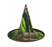 DZBDWZXH Two Parrots on Green Palm Tree Print Halloween Witch Hat for Women Cosplay Costume Dress Up Halloween Party Decoration 1Pcs