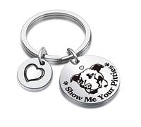 DZOSW Pitbull Lover Keyring Dog Lover Christmas Jewelry Crazy Dog Lady Gift Vet Jewelry, Pitbull Lover Keychain, Standard
