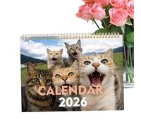 dzqad 2026 Cat Wall Calendar | 12-Month Date Planner | Animal Monthly Calendar - for Home School Living Room Study Classroom Office Students Teachers Consultants Freelancers Workshop Studio