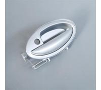 DZSFDGDDFGD Left Hand Side Door Handle for Lifan 520 Exterior Door Handle Replacement Parts Rear Left Red Color Chrome White Grey Plastic Metal Type(Red-Brown-Panel)