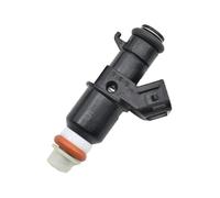 DZSUNLOHJ Fuel Injector 16450-Rzp-003 Fuel Petrol Injector Nozzle For Accord For Pilot For Odyssey 3.0L 3.5L 16450-RZP-003 16450RZP003 Fuel Petrol Injector Nozzle