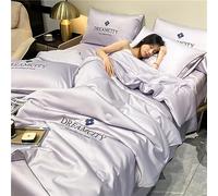 E-ALLDIR Summer Simple Ice Silk Quilt,2023 New Cool Ice Silk Summer Comforters, Washable & Lightweight Summer Comforter Cooling Blanket Air Conditioning Quilts for Sleeping
