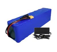 E-Bicycle Battery 48V 30Ah Lithium Battery 13S3P Rechargeable Li-Ion Battery Pack, Electric Scooter Battery with BMS Protection and Charger T+DC